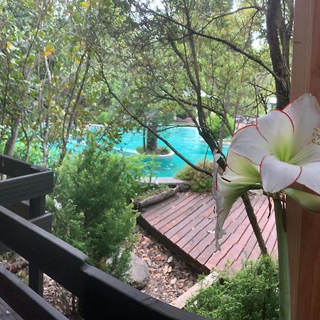 Cabanas Natural Park Lodge Пукон Экстерьер фото