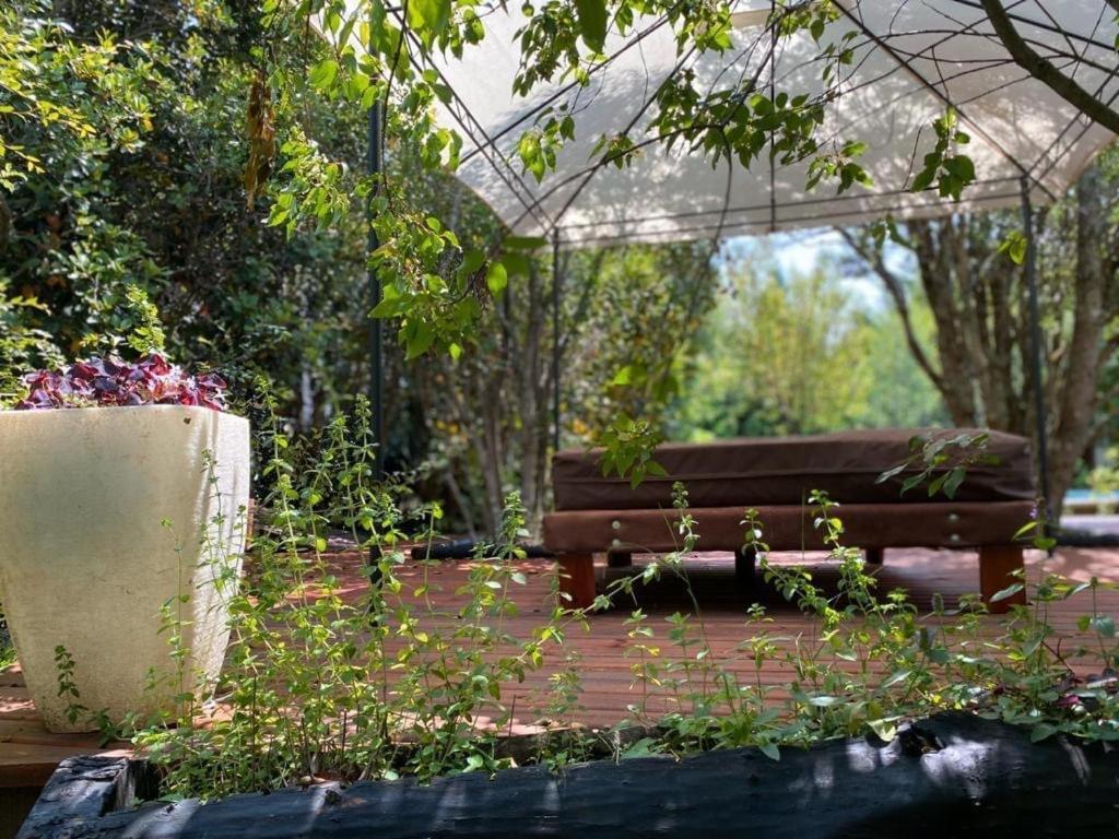 Cabanas Natural Park Lodge Пукон Экстерьер фото
