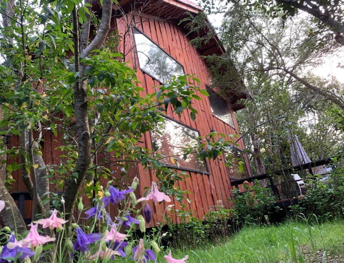 Cabanas Natural Park Lodge Пукон Экстерьер фото