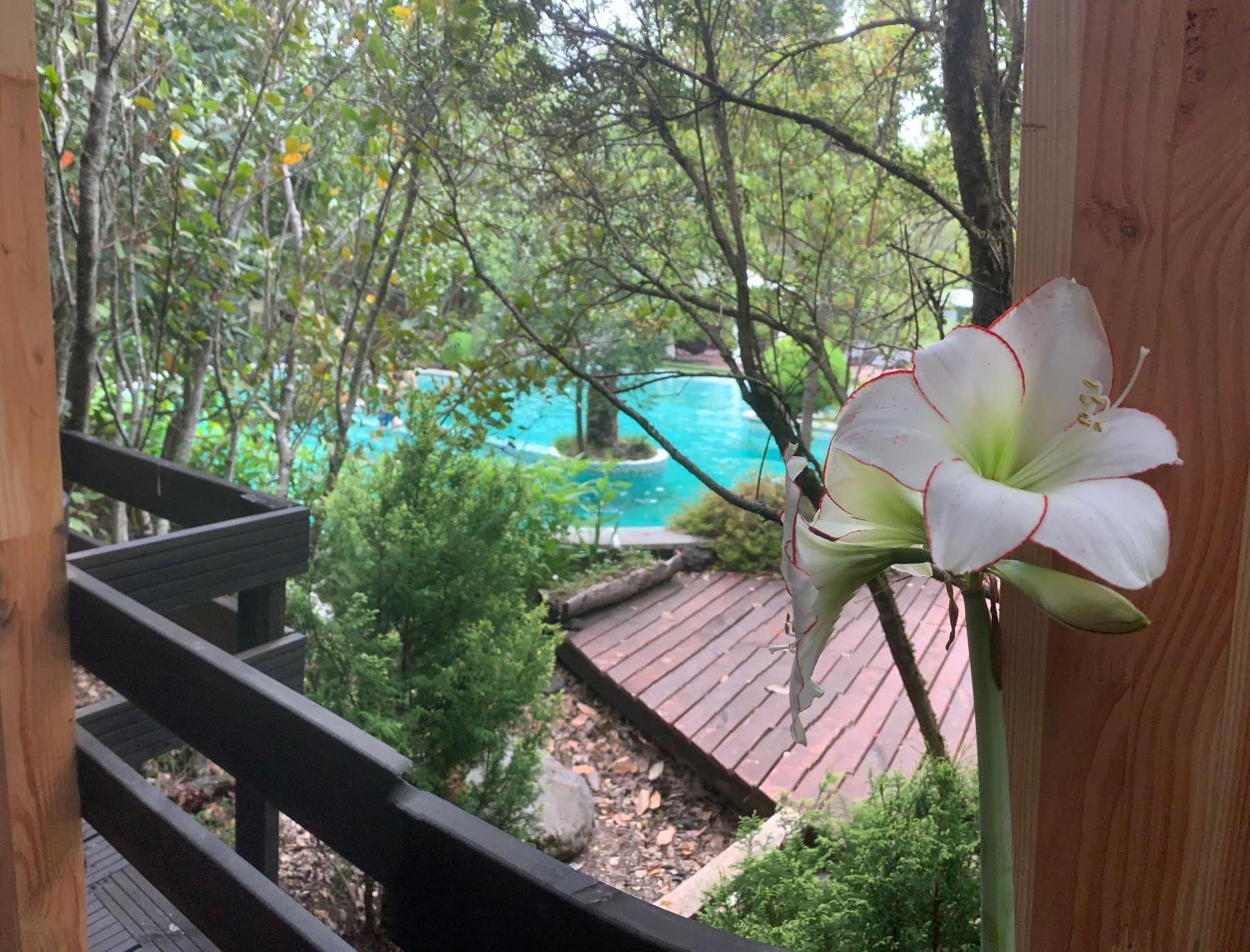 Cabanas Natural Park Lodge Пукон Экстерьер фото