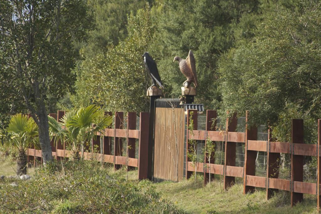 Cabanas Natural Park Lodge Пукон Экстерьер фото