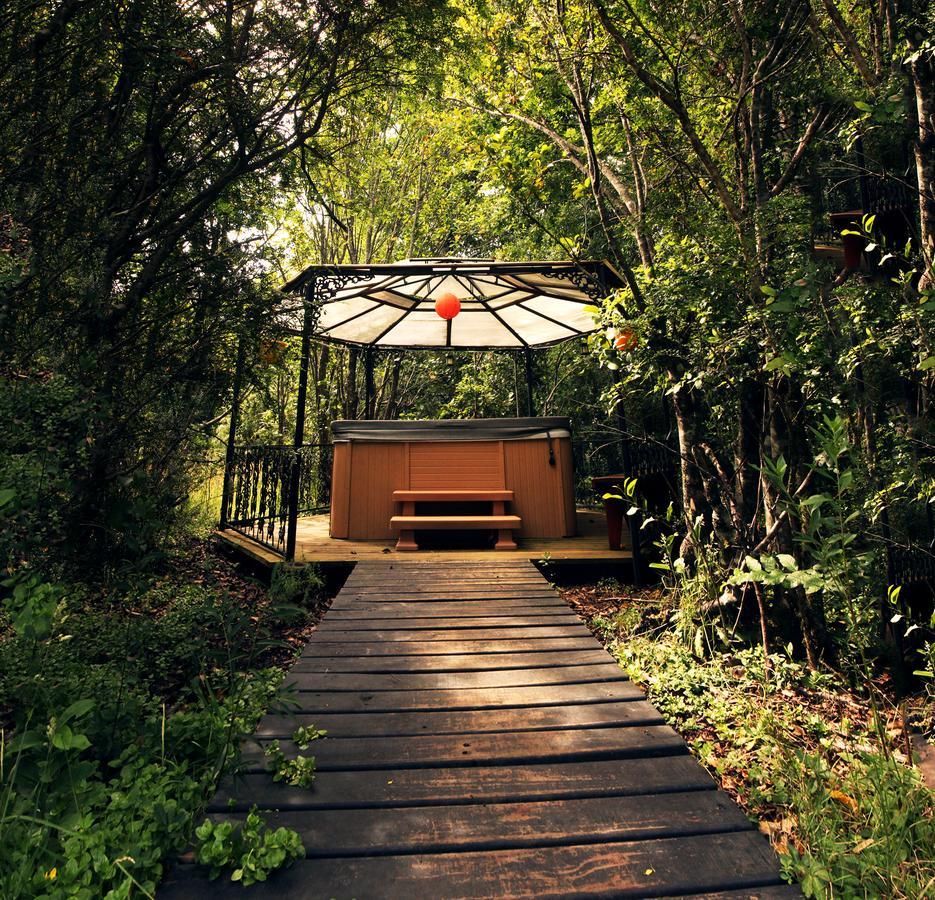 Cabanas Natural Park Lodge Пукон Экстерьер фото